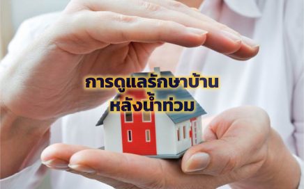 ทำความสะอาดพื้นบ้าน